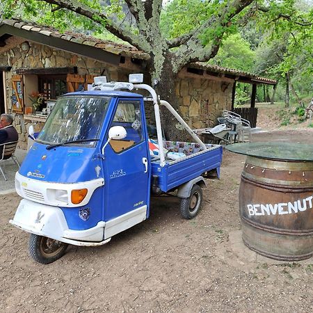 Agricamping Ponteraggio N.1 Hotel Dolceacqua Eksteriør billede