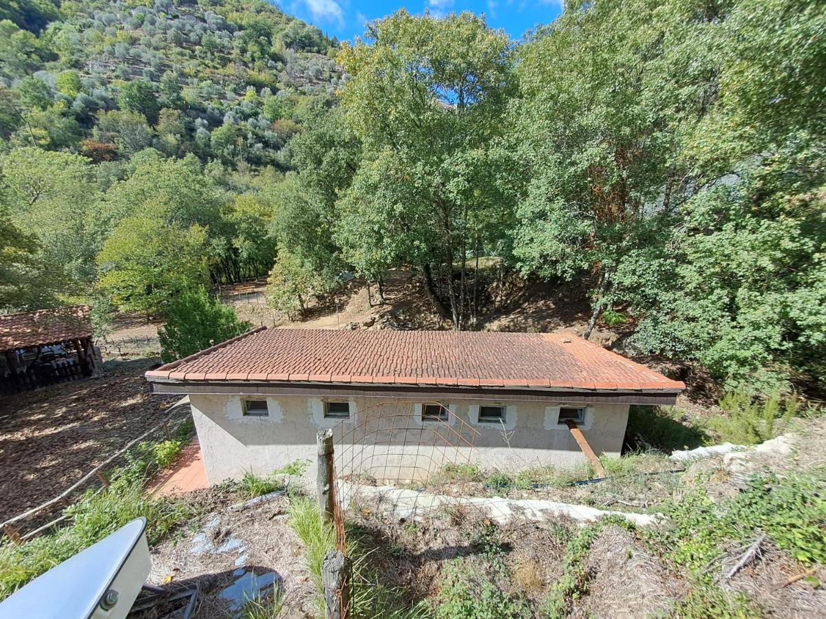 Agricamping Ponteraggio N.1 Hotel Dolceacqua Eksteriør billede