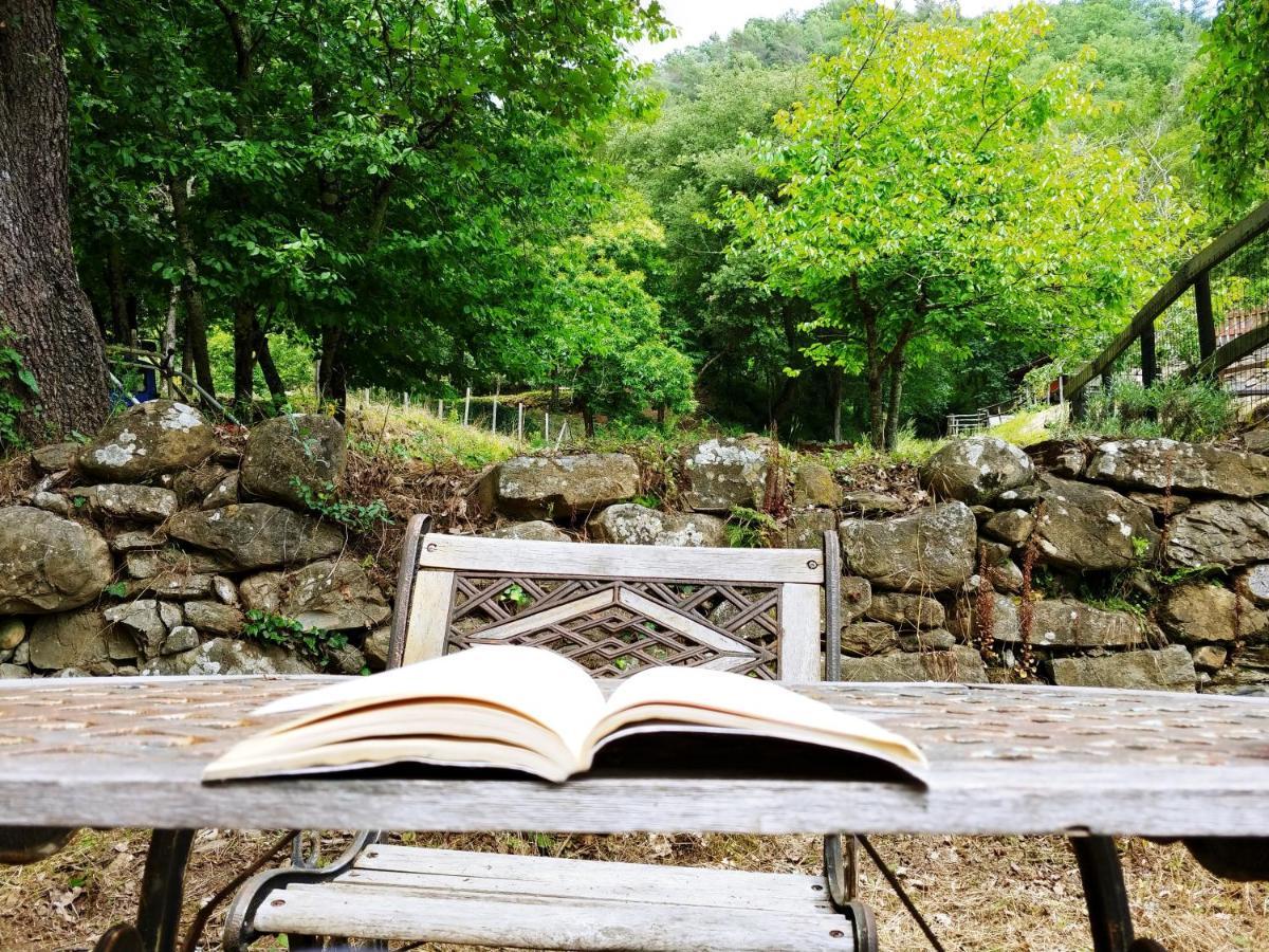 Agricamping Ponteraggio N.1 Hotel Dolceacqua Eksteriør billede