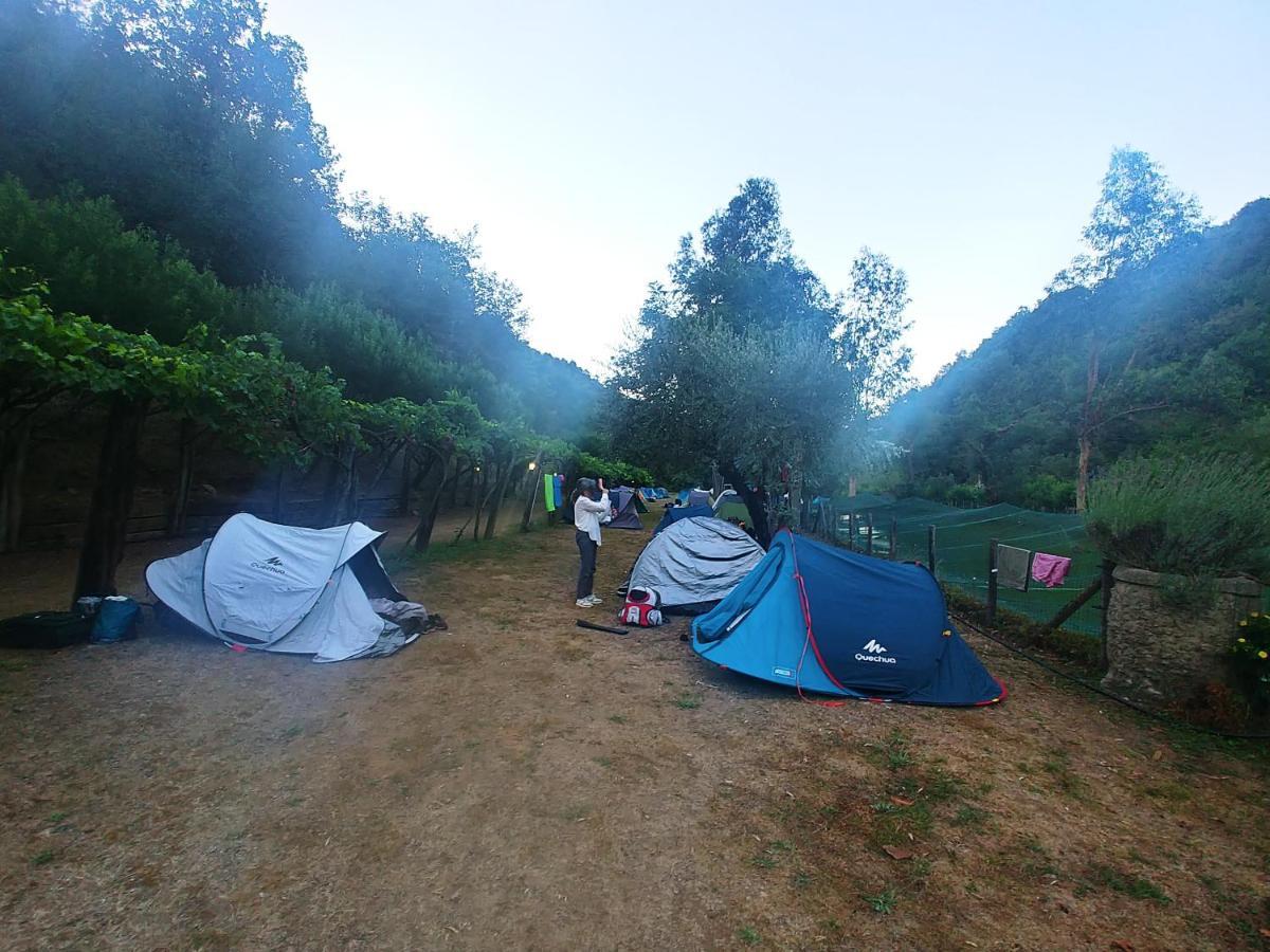 Agricamping Ponteraggio N.1 Hotel Dolceacqua Eksteriør billede