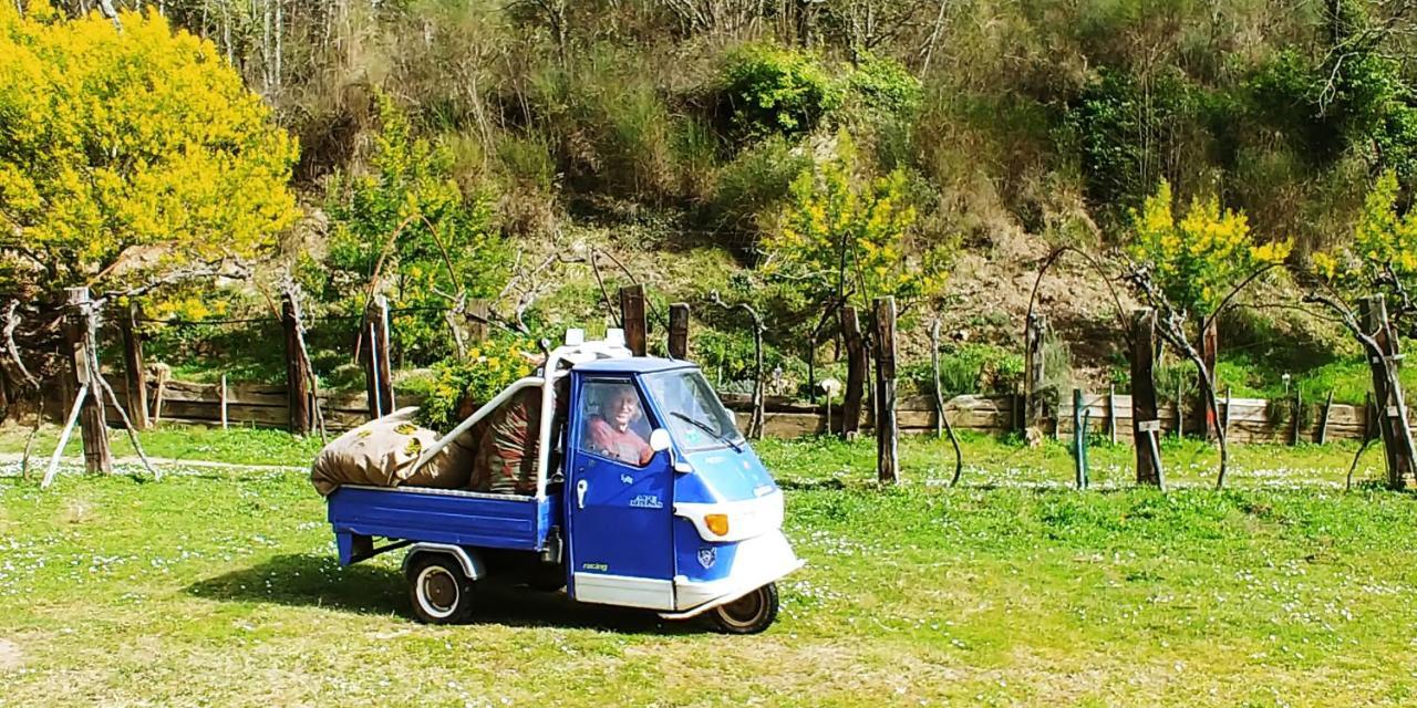 Agricamping Ponteraggio N.1 Hotel Dolceacqua Eksteriør billede