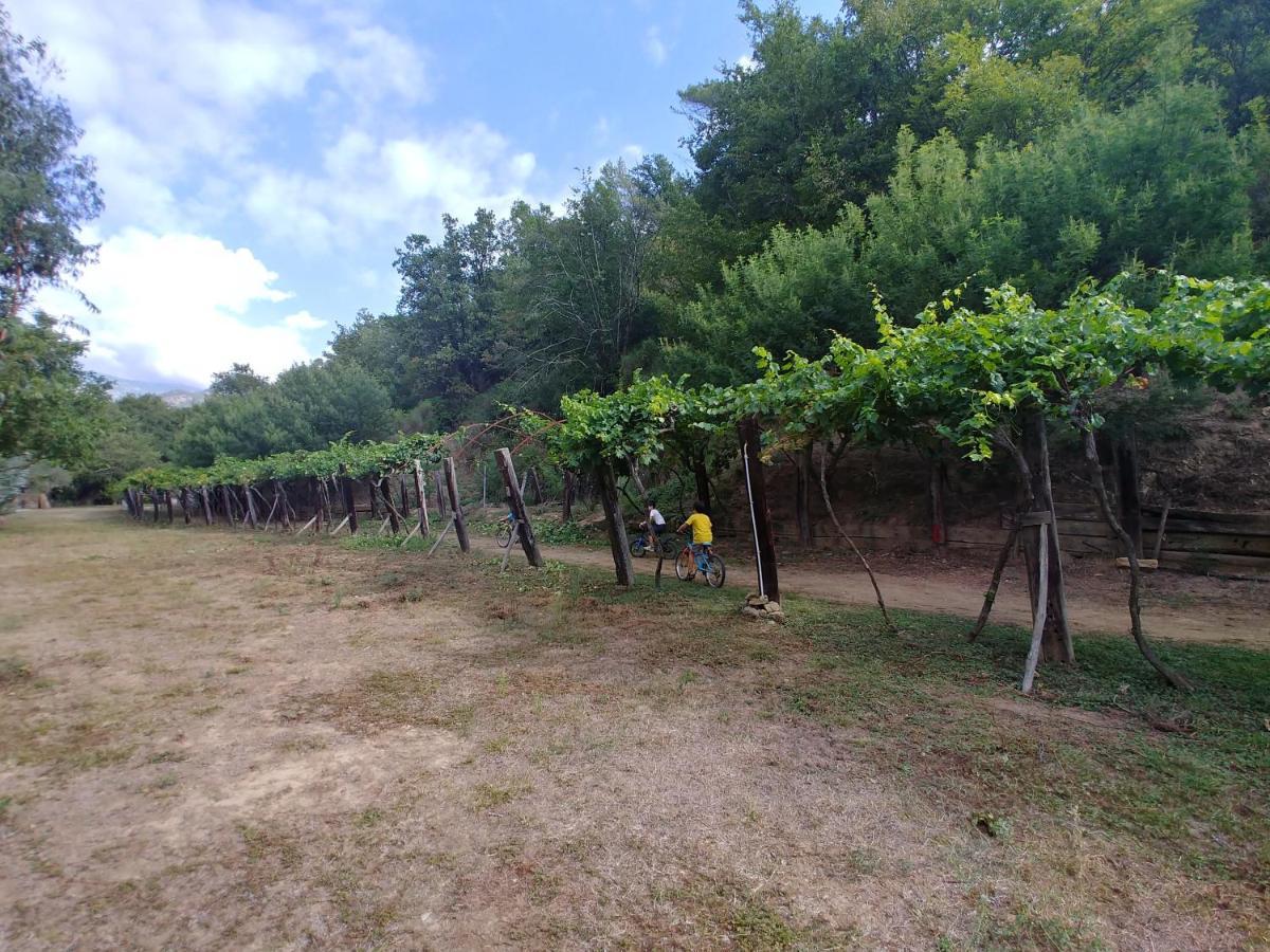 Agricamping Ponteraggio N.1 Hotel Dolceacqua Eksteriør billede