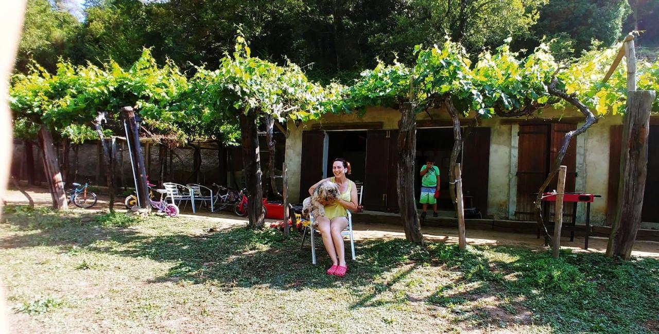 Agricamping Ponteraggio N.1 Hotel Dolceacqua Eksteriør billede