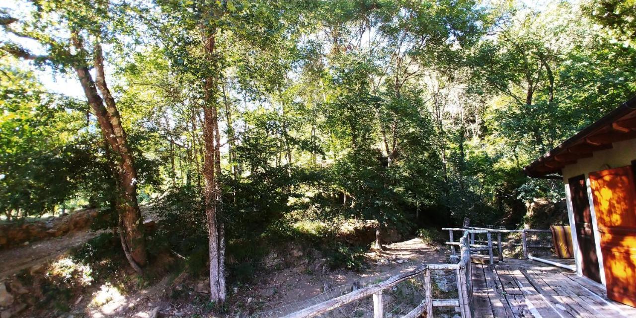 Agricamping Ponteraggio N.1 Hotel Dolceacqua Eksteriør billede