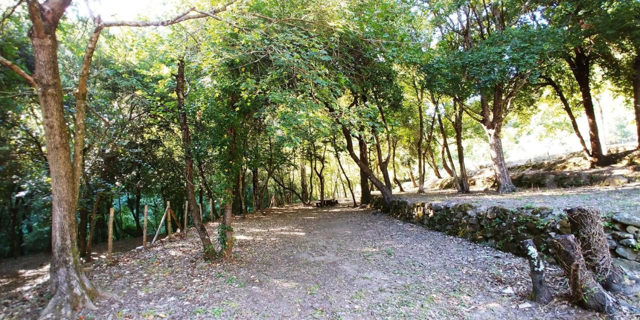 Agricamping Ponteraggio N.1 Hotel Dolceacqua Eksteriør billede