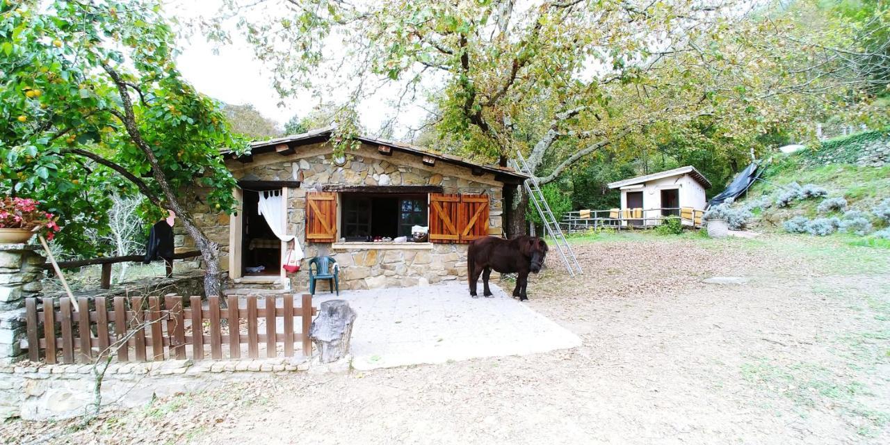 Agricamping Ponteraggio N.1 Hotel Dolceacqua Eksteriør billede