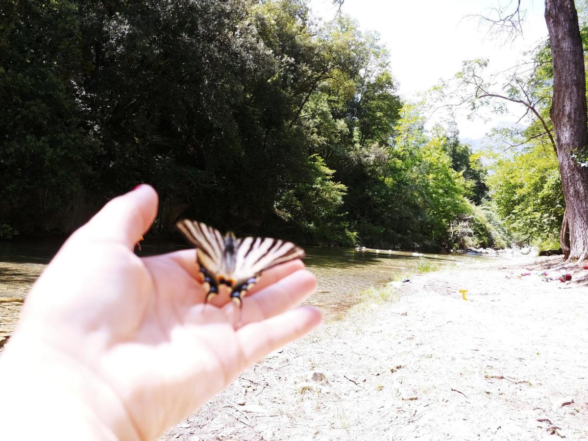 Agricamping Ponteraggio N.1 Hotel Dolceacqua Eksteriør billede