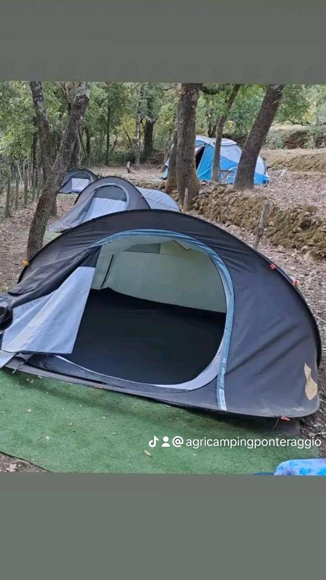 Agricamping Ponteraggio N.1 Hotel Dolceacqua Eksteriør billede