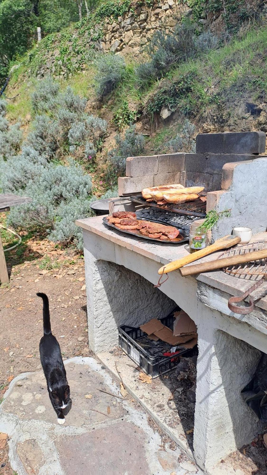 Agricamping Ponteraggio N.1 Hotel Dolceacqua Eksteriør billede